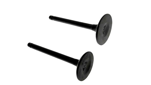 Inlet exhaust valves for - inlet,