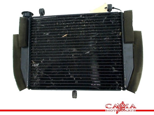 Radiator yamaha yzf - radiator, r6