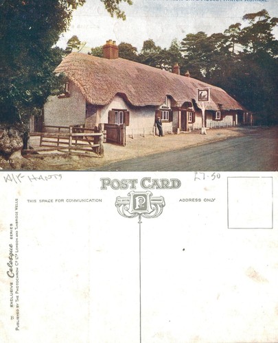 Vintage postcard the cat and - -,