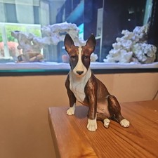 Very Rare North Light - Bull
