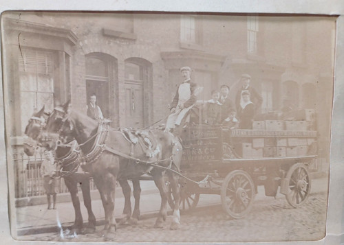1800 cabinet card horse - 1800's,