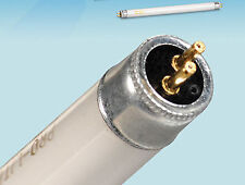 CARAVAN MOTORHOME LUMO