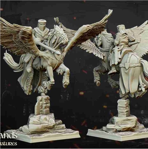 Pegasus knight highlands - knight,