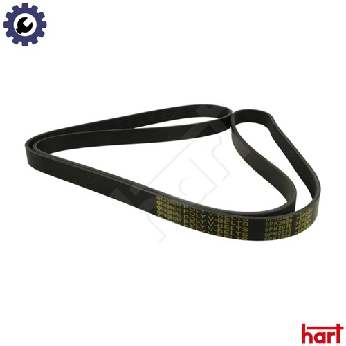 Vribbed belt 368 975 - belt,
