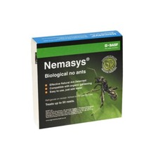 Ant nematodes nests - nematodes, 50