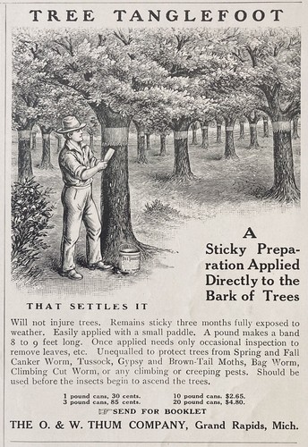 1910 w thum - ad(xh46)~o., &