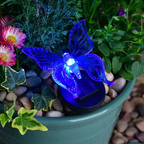 Solar powered insect butterfly - solar,