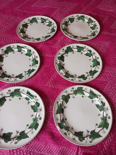 Napoleon ivy wedgewood dinner - wedgewood,