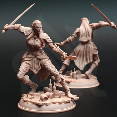Dungeons dragons elf fighter - &,