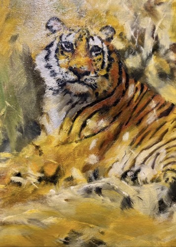 Original crossley tiger - crossley, oil