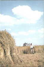 Arthur dixon norfolk broads - dixon,