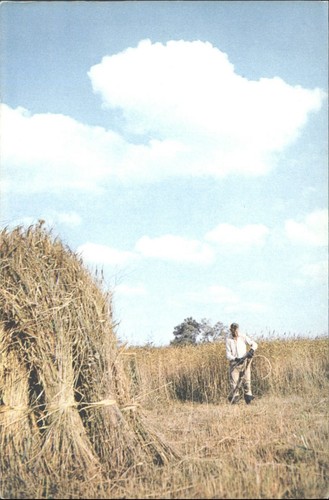 Arthur dixon norfolk - j., broads
