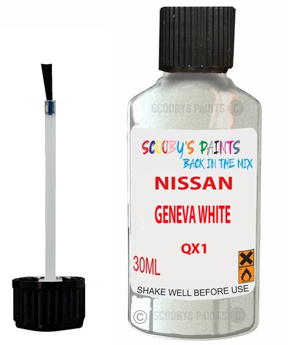 Paint touch for nissan - touch,