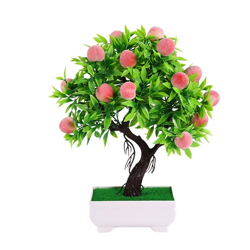 Multicolor fruit tree potted - fruit,