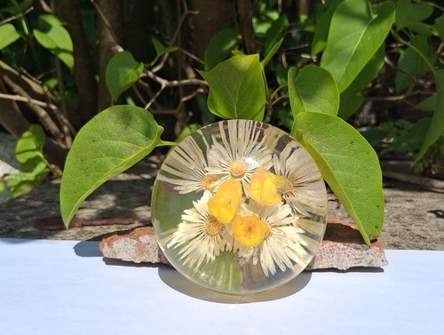 Daisy and buttercup lucite - daisy,