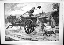 Old Antique Print Runaways Ge Robertson Man Driving Cart Pigs Escape 1892 19th