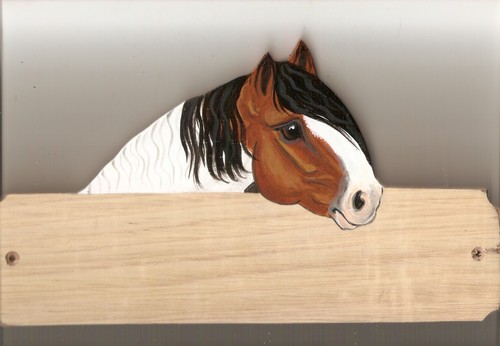 Gypsy vanner cob - gypsy,