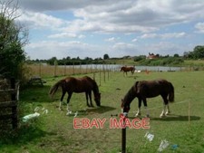 PHOTO  PADDOCK & POND THESE