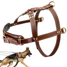 Big Dogs Real Leather Harness