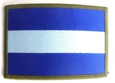 ARMY AIR CORPS TRF ARM BADGE