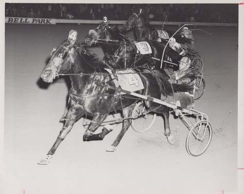 Waiuku bell park raceway - waiuku,