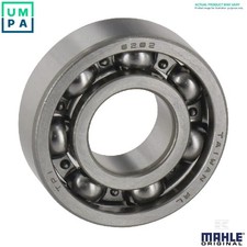 CRANKSHAFT BEARING 081 HL