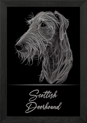 Scottish deerhound framed wall - framed,
