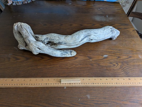Interesting driftwood stick - interesting,