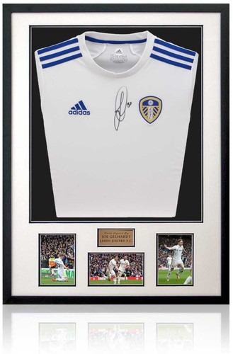 Joe gelhardt leeds united hand - leeds,