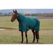 Weatherbeeta Comfitec Classic 50g Turnout Combo Rug - Forest Green/Black