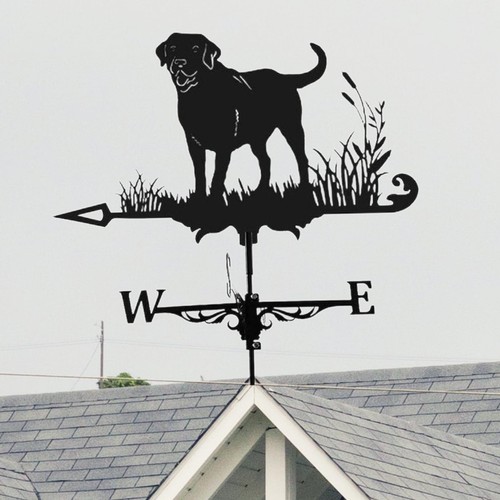Weather vane yard roof - weather, outdoor