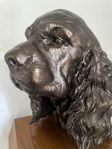 Clumber spaniel dog - spaniel, cast