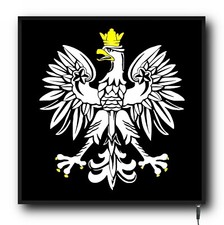 POLISH EAGLE Truck Cab 24/12v