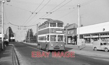 PHOTO  BELFAST TROLLEYBUS 219