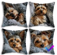 YORKSHIRE TERRIER Puppy Dog