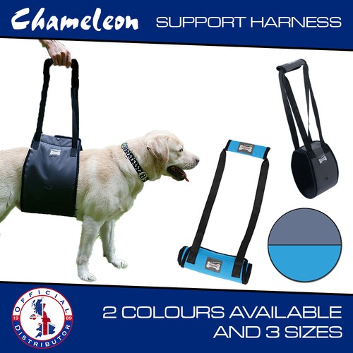 Dog pet harness - harness, support
