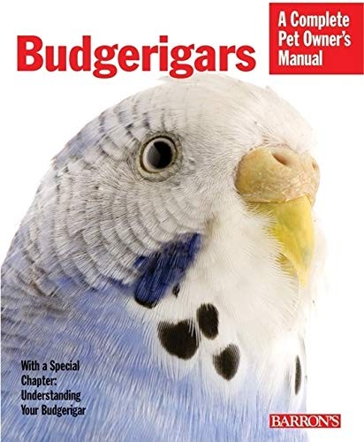 Budgerigars complete pet - budgerigars,