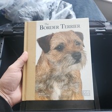 Border Terrier by Betty Judge