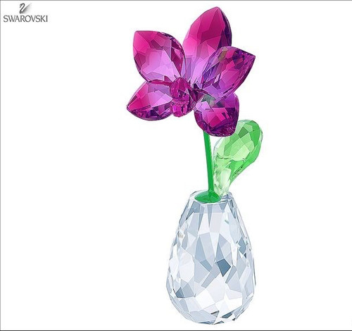 Swarovski flower dreams orchid - flower,