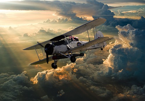 Fairey swordfish canvas prints - fairey, swordfish,canvas