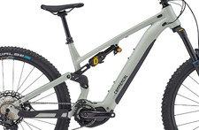 Frame Pivot Bearing Kit |