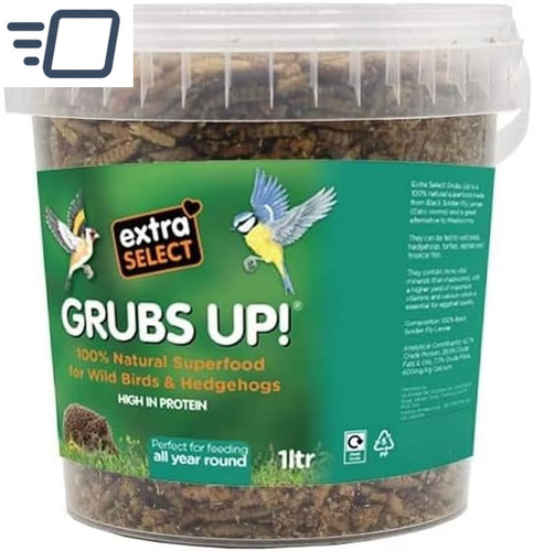 Grubs black soldier - up,