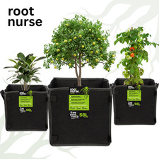ROOT NURSE SQUARE Fabric Plant