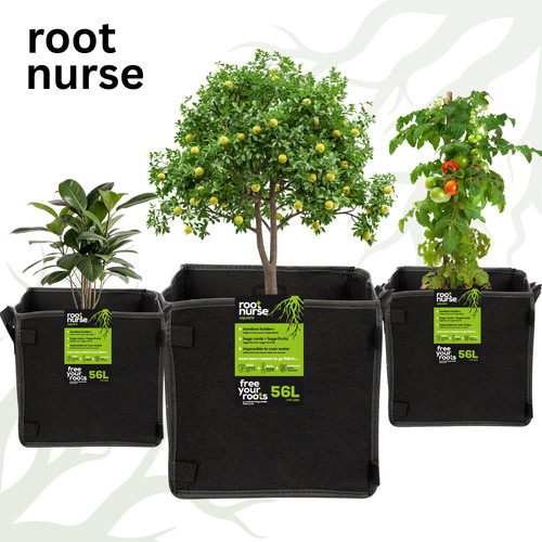 Root nurse square fabric - root,