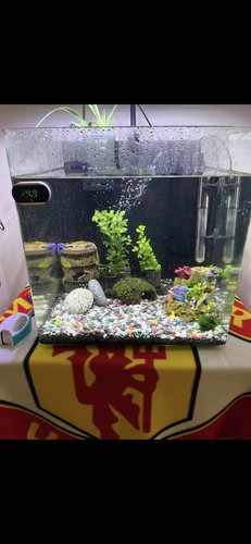 Litre fish tank and - 55,