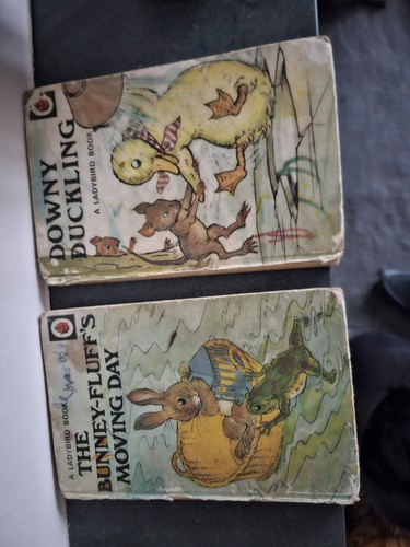 Ladybird books bunney fluffs - ladybird, bunney-fluffs