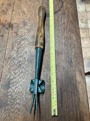 Vintage gardeners daisy weed - vintage,