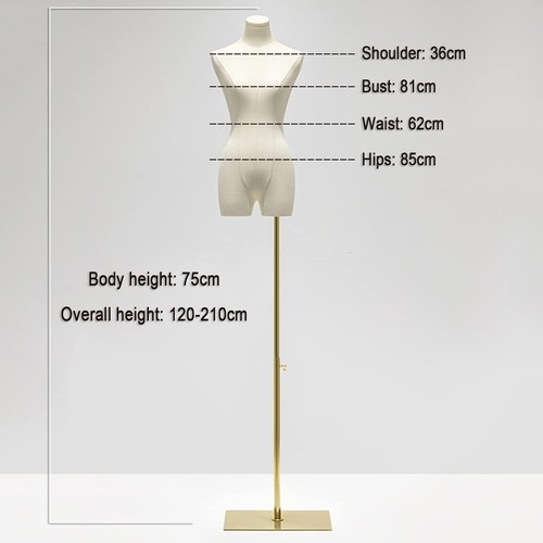 Dressmaker dummy female - dressmaker's,