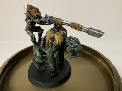 Krootox rider tau - krootox,