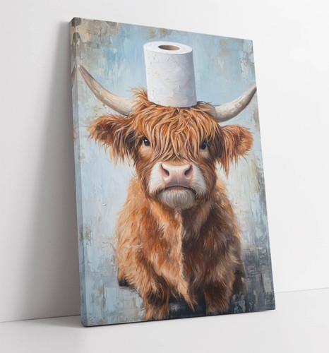 Highland cow with - highland,